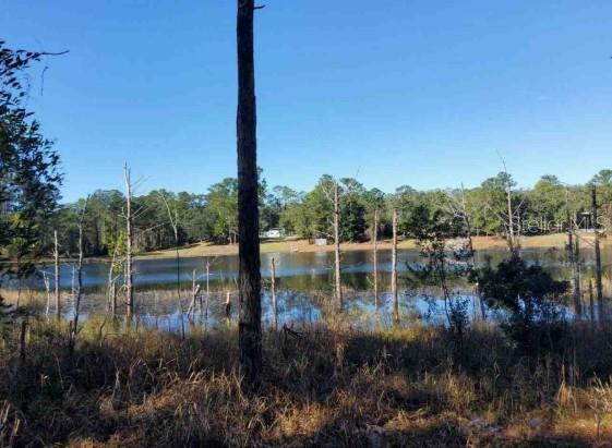 Property for sale at Lot 138 SE 168TH TERRACE, OCKLAWAHA, FL, 32179