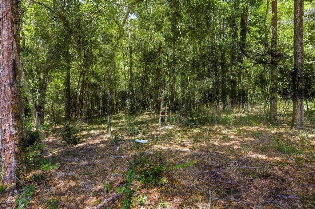 Property for sale at CENTENNIAL ROAD, DADE CITY, FL, 33525