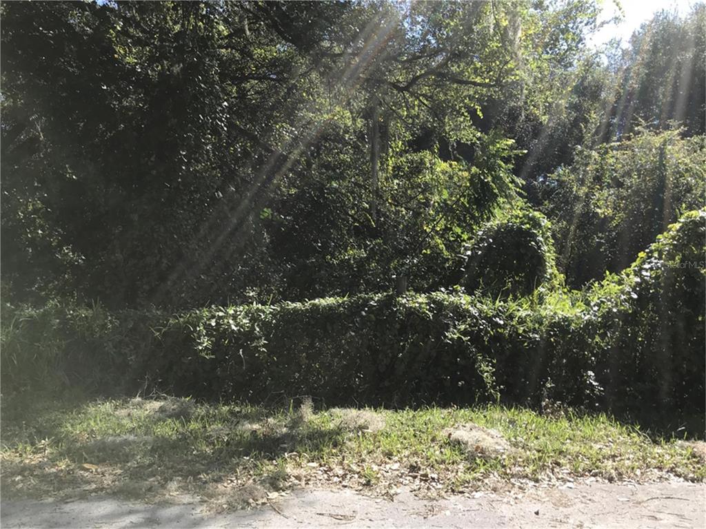 Property for sale at NW 2ND, WEBSTER, FL, 33597
