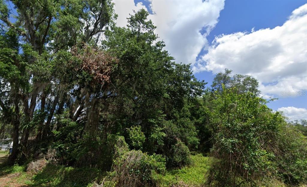 Property for sale at NW 2ND, WEBSTER, FL, 33597