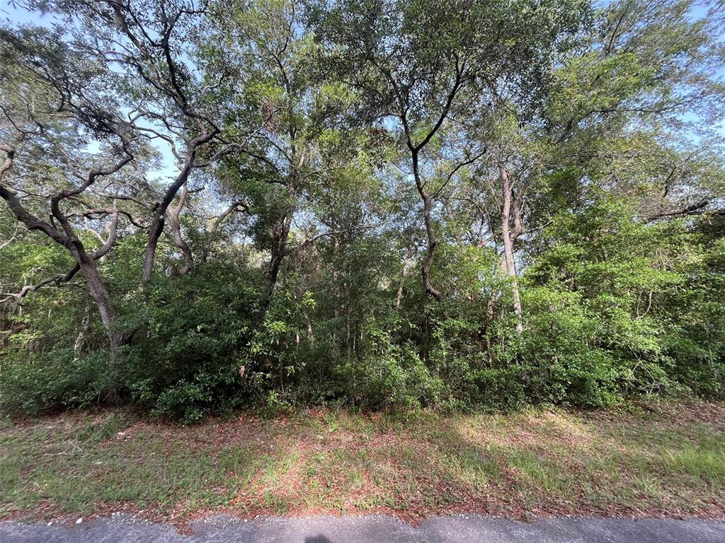 Property for sale at 6634 N PAGODA TREE TERRACE, HERNANDO, FL, 34442