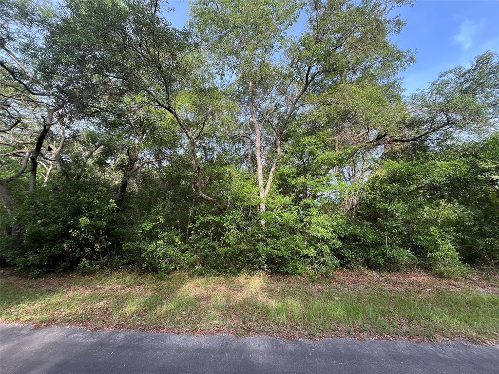 Property for sale at 6634 N PAGODA TREE TERRACE, HERNANDO, FL, 34442