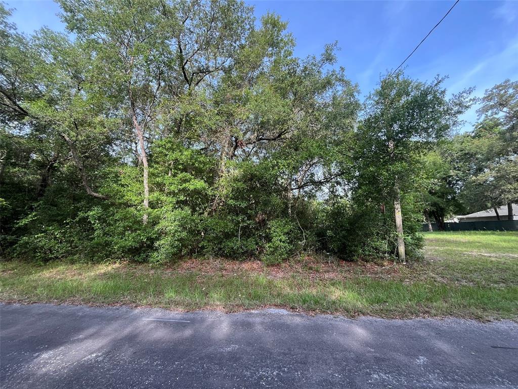 Property for sale at 6634 N PAGODA TREE TERRACE, HERNANDO, FL, 34442