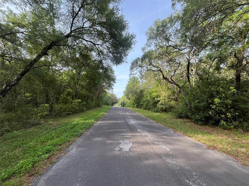 Property for sale at 6634 N PAGODA TREE TERRACE, HERNANDO, FL, 34442