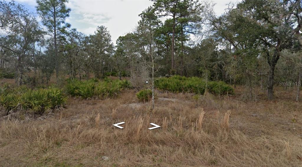 Property for sale at 11353 QUILL AVENUE, BROOKSVILLE, FL, 34614