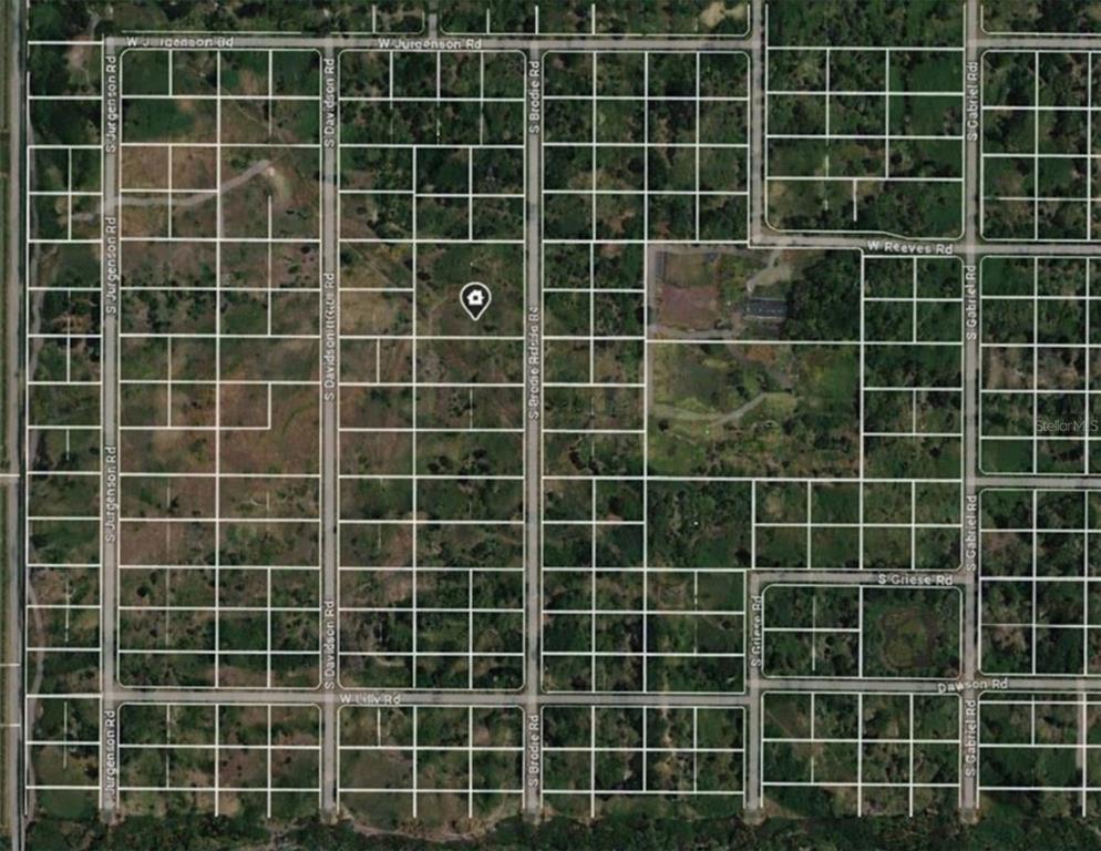 Property for sale at 1124 S BRODIE ROAD, AVON PARK, FL, 33825