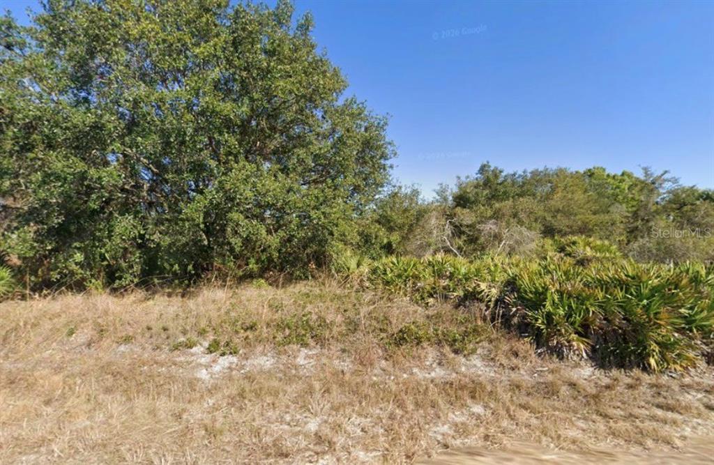 Property for sale at 1316 POINSETTIA AVENUE, LEHIGH ACRES, FL, 33972