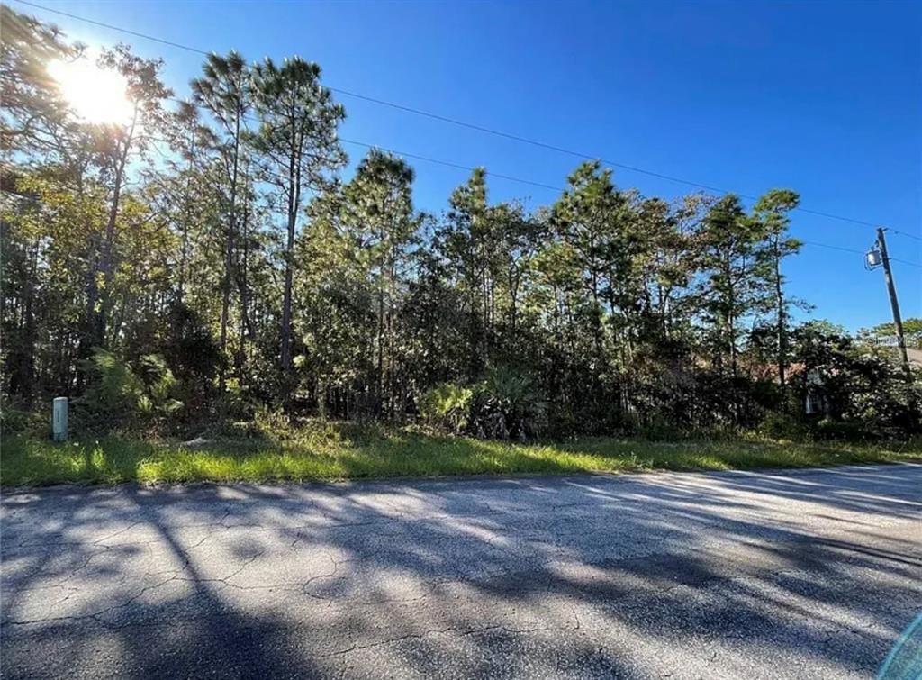 Property for sale at 16 MAYTEN COURT N, HOMOSASSA, FL, 34446