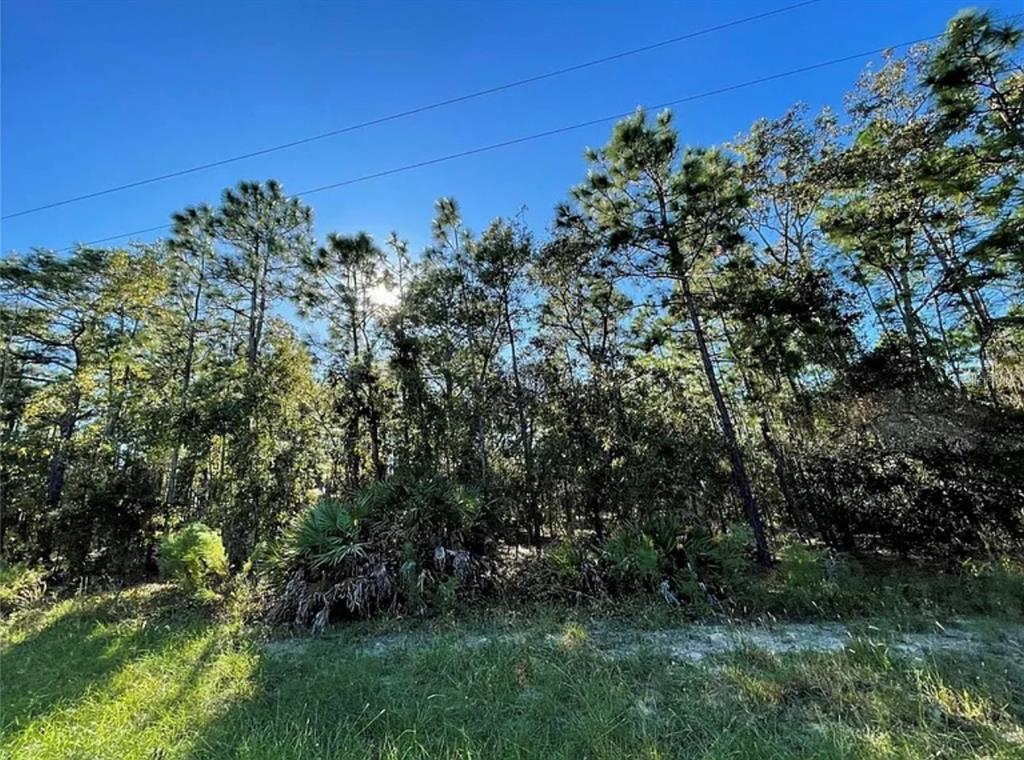 Property for sale at 16 MAYTEN COURT N, HOMOSASSA, FL, 34446