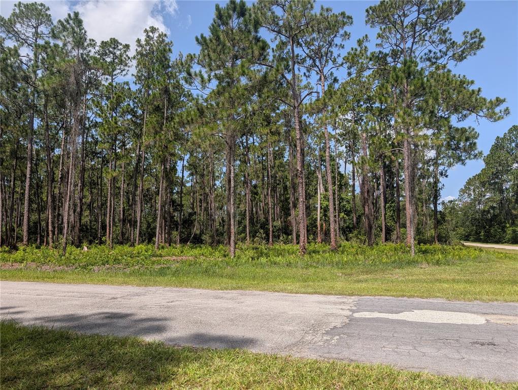 Property for sale at 201 ALLAMANDA DRIVE, INDIAN LAKE ESTATES, FL, 33855