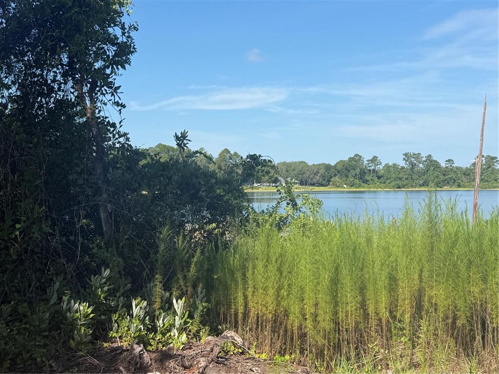 Property for sale at TBD MALAUKA RADIAL, OCKLAWAHA, FL, 32179
