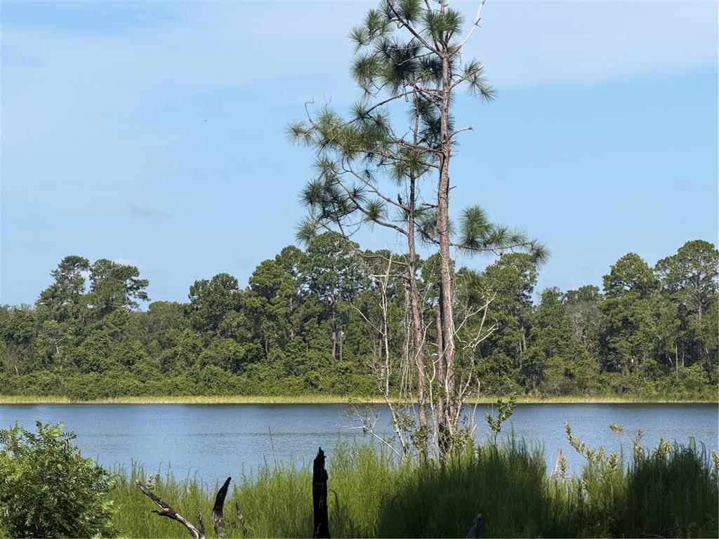 Property for sale at TBD MALAUKA RADIAL, OCKLAWAHA, FL, 32179