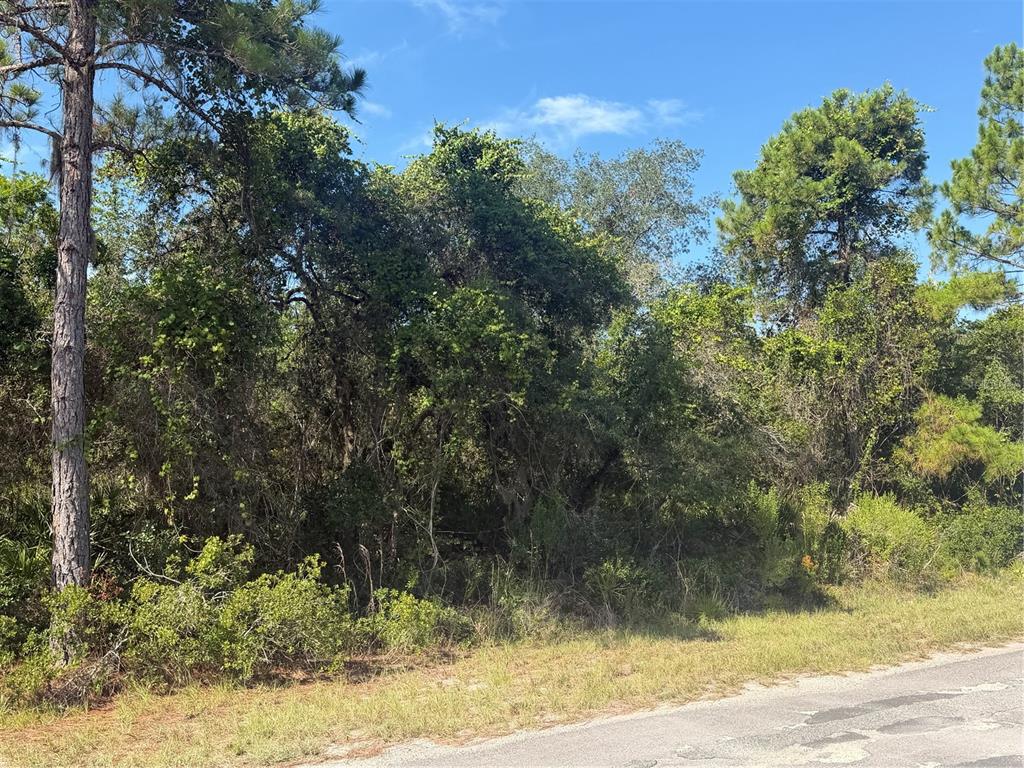 Property for sale at TBD MALAUKA RADIAL, OCKLAWAHA, FL, 32179