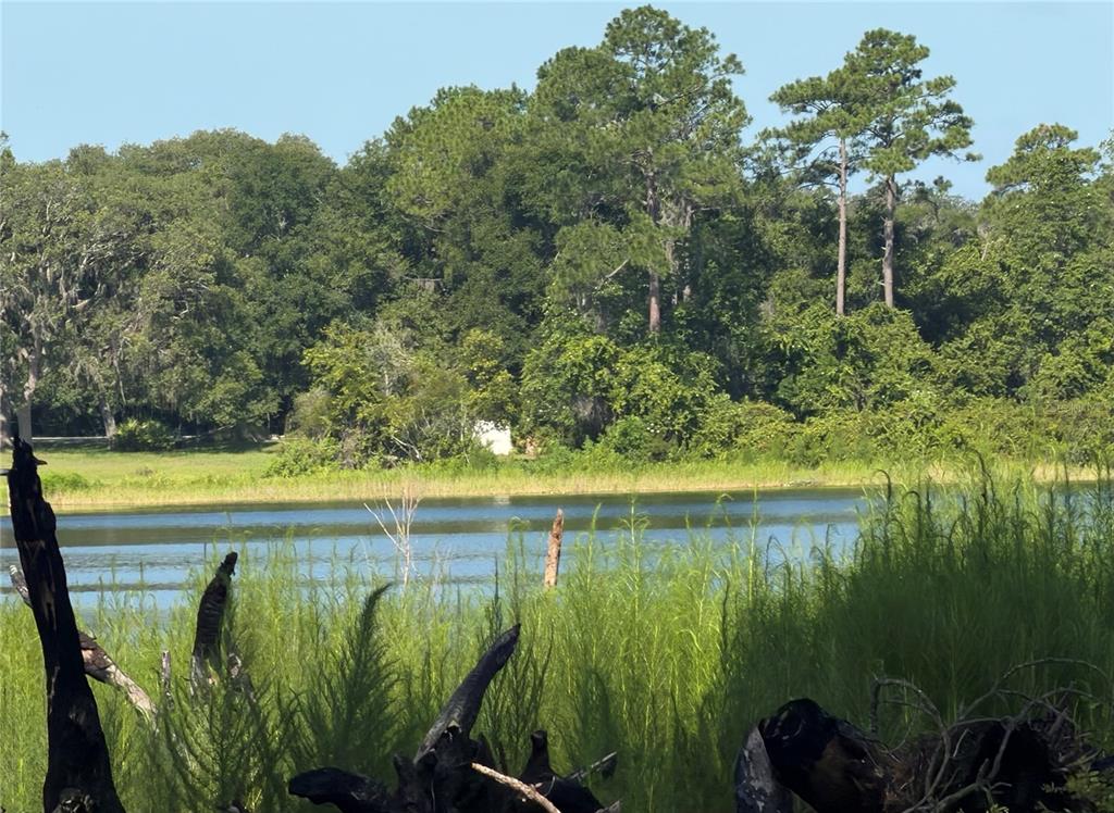 Property for sale at TBD MALAUKA RADIAL, OCKLAWAHA, FL, 32179