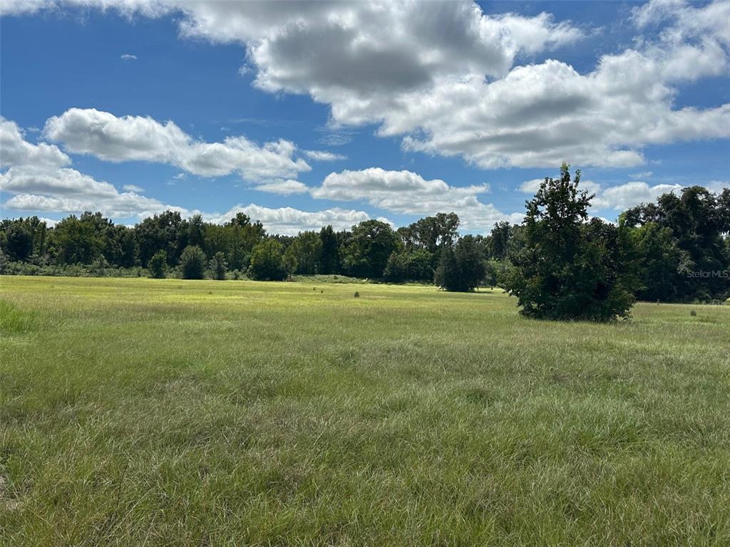 Property for sale at 0 SE 116 PLACE, OCALA, FL, 34480