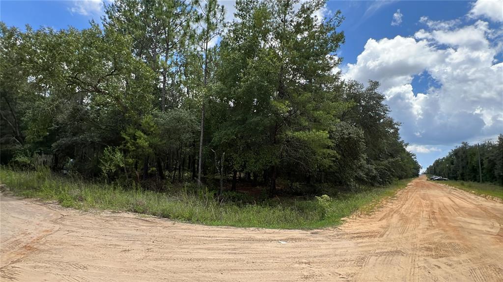 Property for sale at 334 KENNEDY AVENUE, INTERLACHEN, FL, 32148