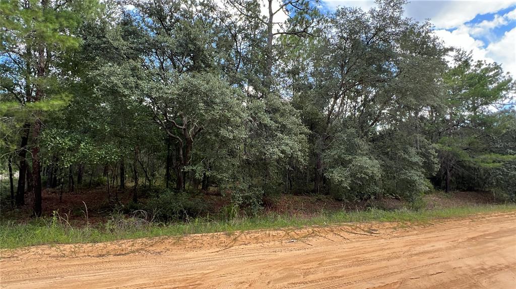 Property for sale at 334 KENNEDY AVENUE, INTERLACHEN, FL, 32148