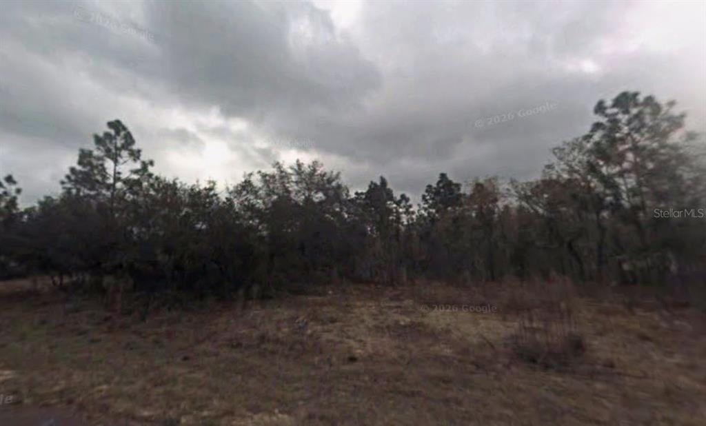 Property for sale at 9075 N MARCUS WAY, CITRUS SPRINGS, FL, 34433