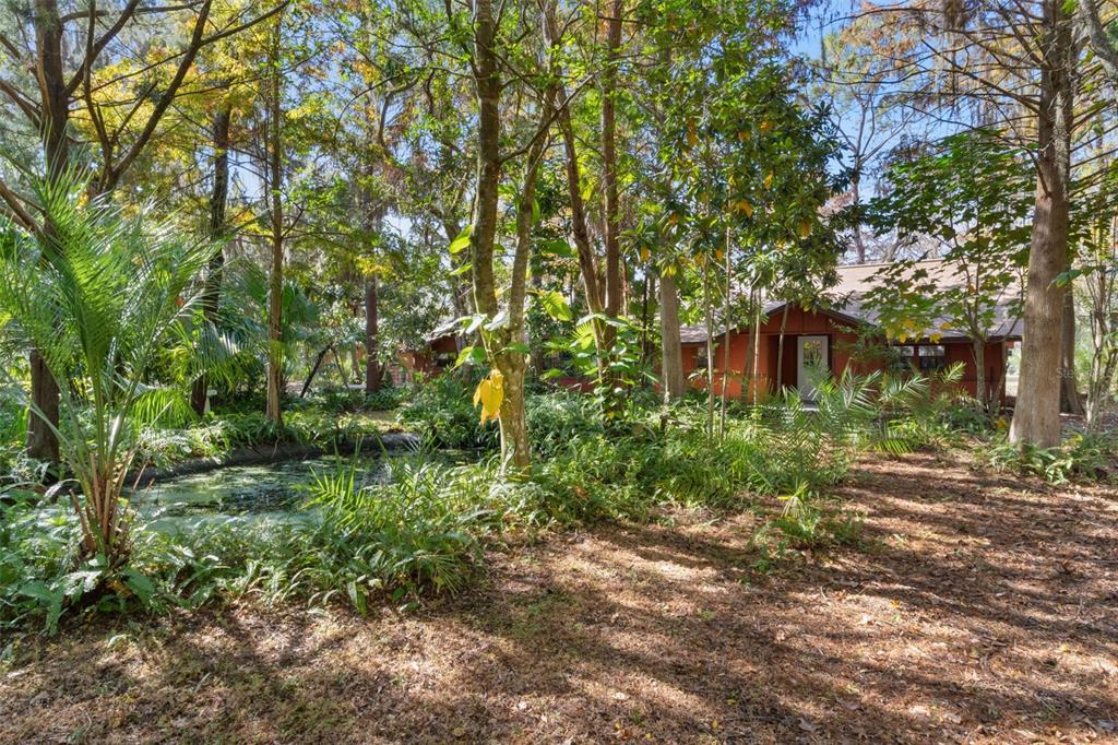 Property for sale at 6250 & 5942 E C 478, CENTER HILL, FL, 33514