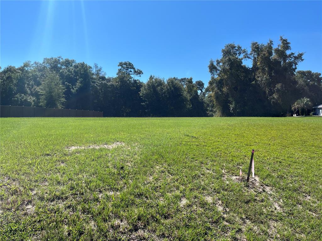 Property for sale at TBD NE 70TH STREET, SILVER SPRINGS, FL, 34488