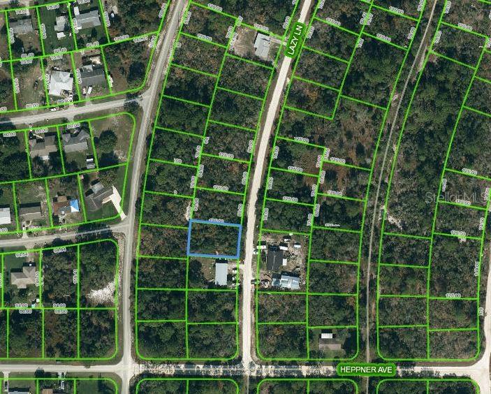Property for sale at 366 LAZY LANE, LAKE PLACID, FL, 33852