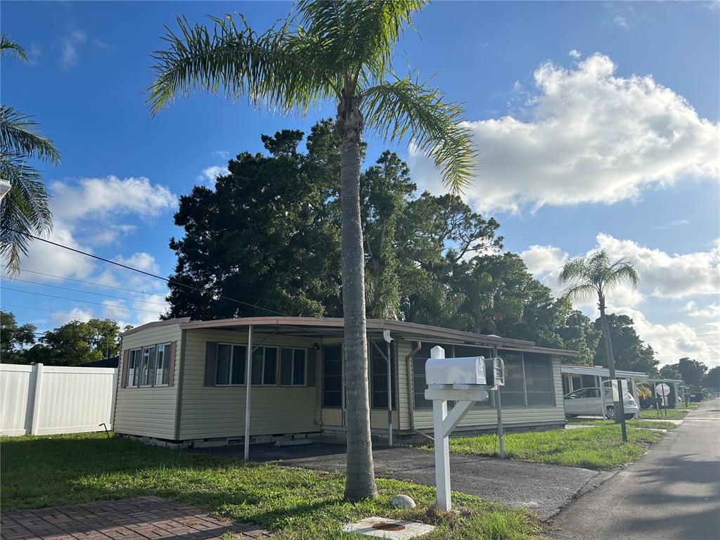 Beautiful Palm Trees out front