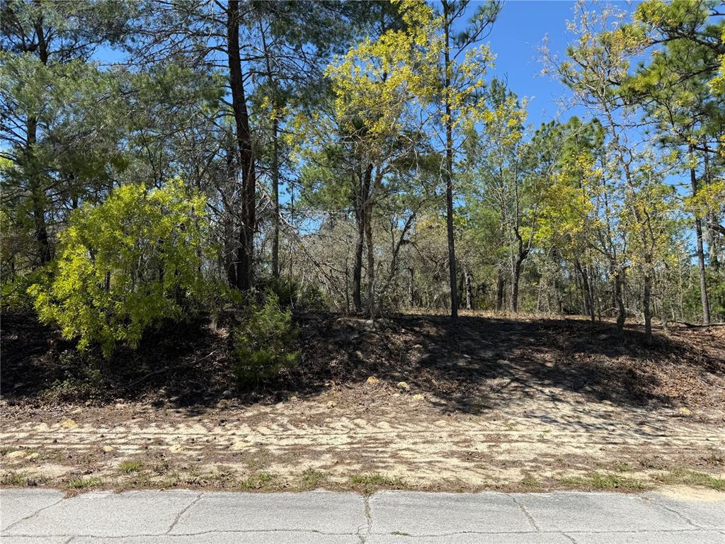 Property for sale at 10776 N MORENO DRIVE, DUNNELLON, FL, 34433