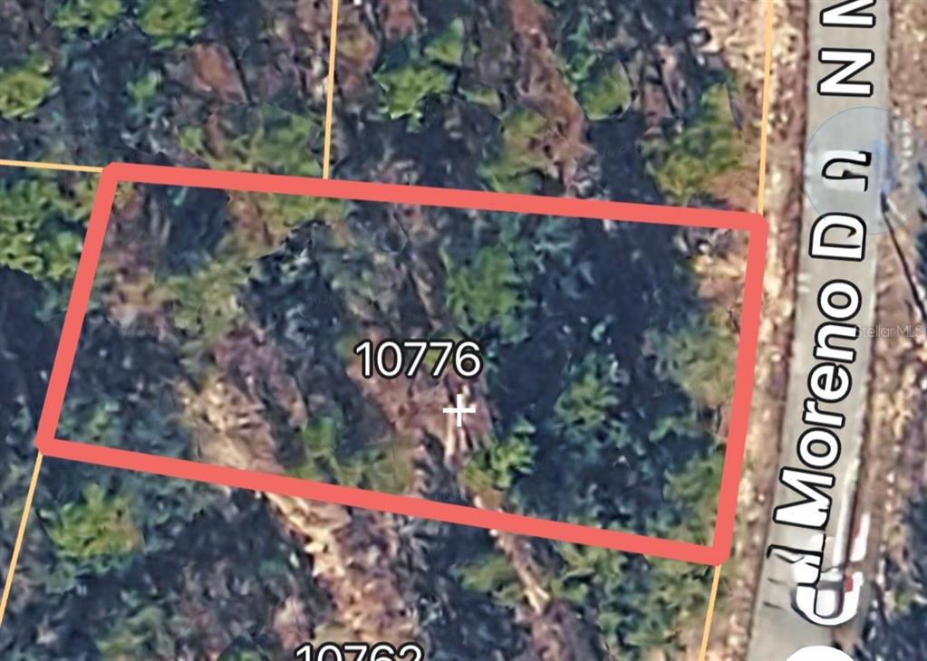 Property for sale at 10776 N MORENO DRIVE, DUNNELLON, FL, 34433