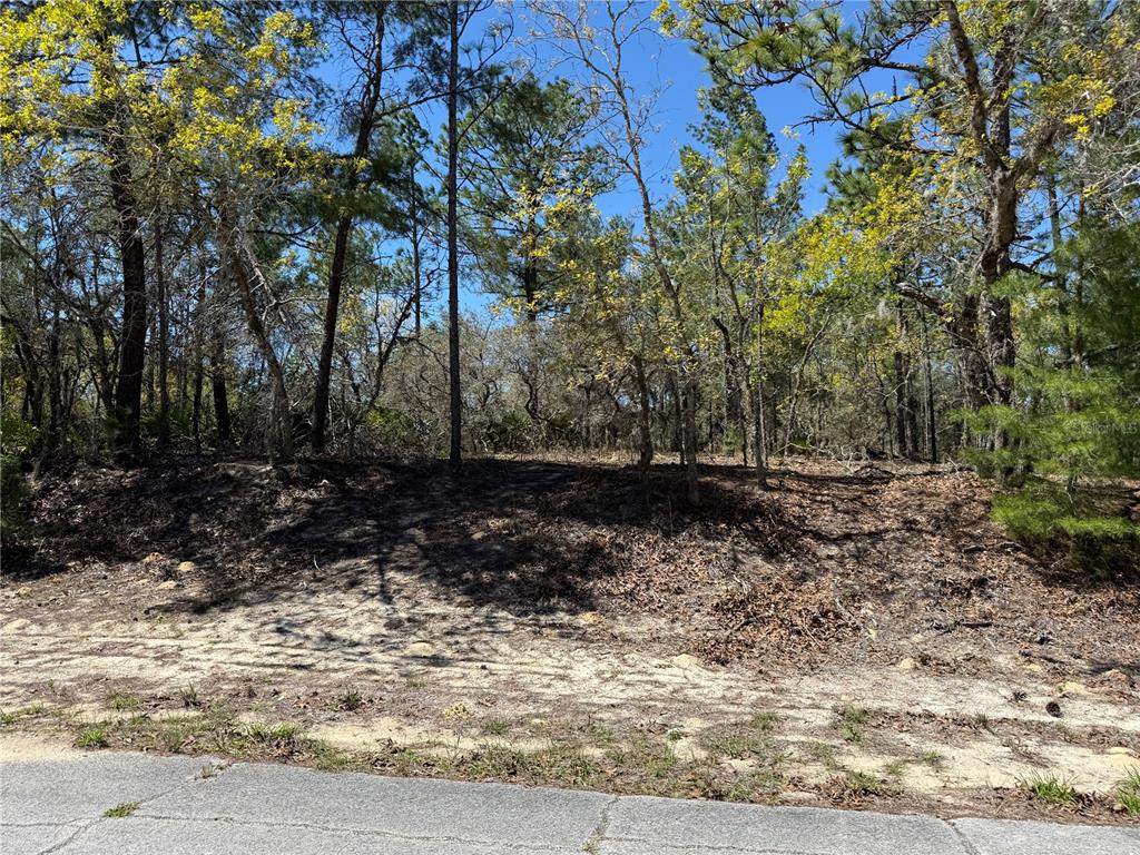 Property for sale at 10776 N MORENO DRIVE, DUNNELLON, FL, 34433