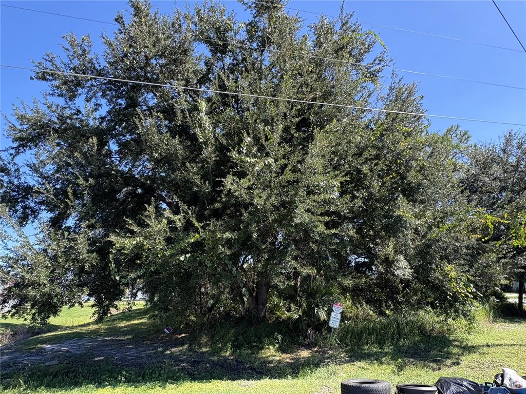 Property for sale at 539 EAGLE COURT Lot 23, POINCIANA, FL, 34759