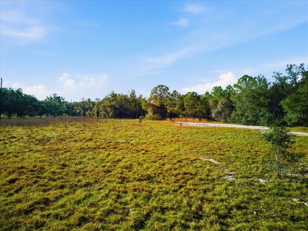 Property for sale at LAKE ERIE RD, GROVELAND, FL, 34736