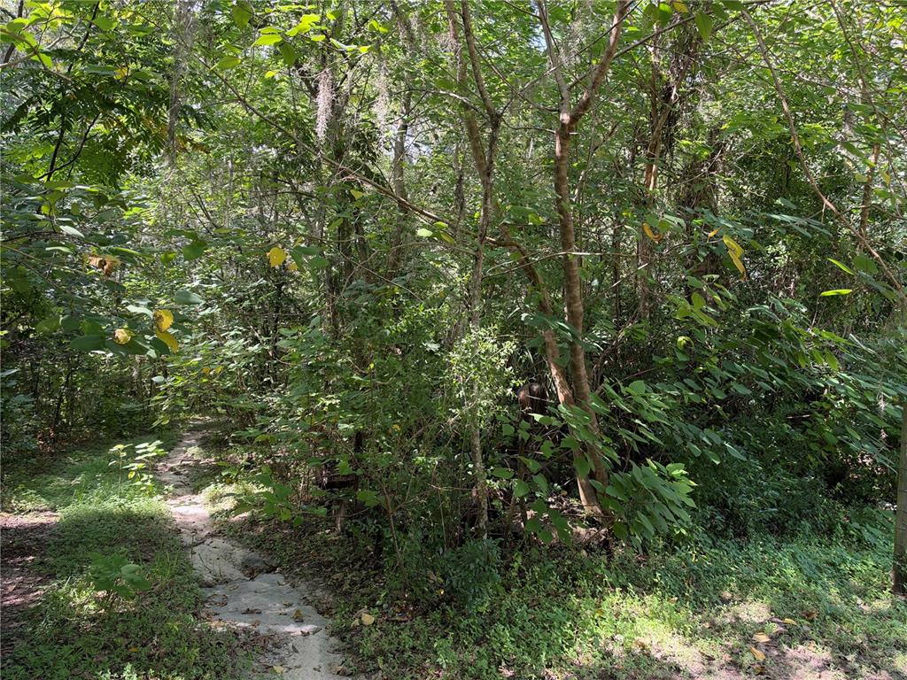 Lot Road