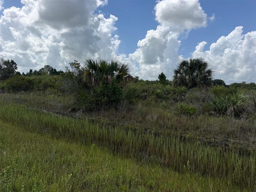 Property for sale at 16474 NW 258TH STREET, OKEECHOBEE, FL, 34972