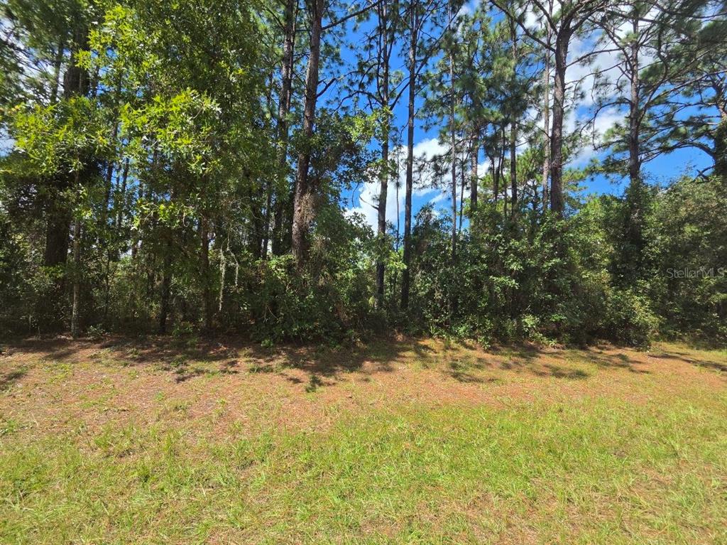 Property for sale at 00 SW 81ST TER, OCALA, FL, 34473