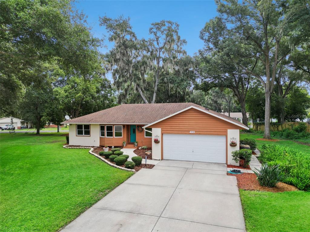 Wide curb appeal view of 480 Lake Forest Cir showing the expansive front yard, mature live oaks with Spanish moss, and well-maintained exterior in Mount Dora, FL