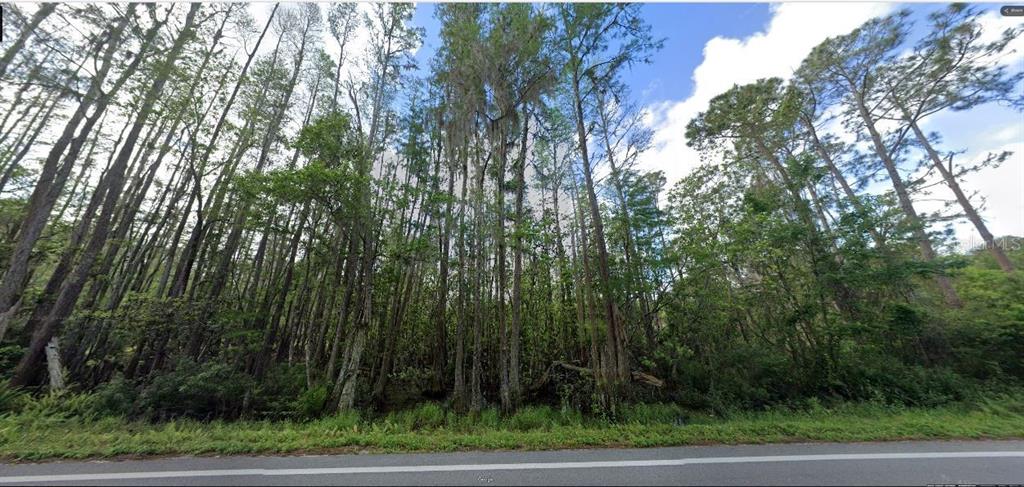 Property for sale at DEEN STILL ROAD, POLK CITY, FL, 33868