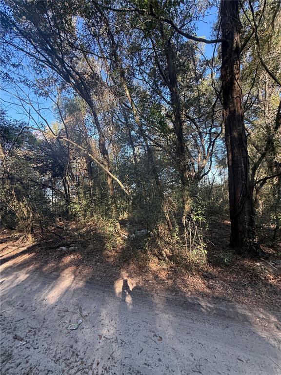Property for sale at SW 148TH CT 32ND PLACE, OCALA, FL, 34481