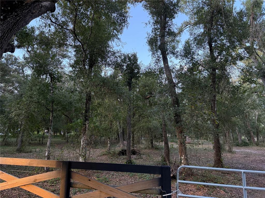 Property for sale at SE BROWN ROAD, ARCADIA, FL, 34266
