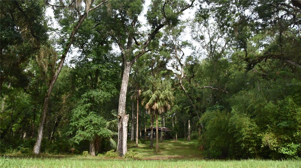Property for sale at 8650 NW 136TH AVENUE, CHIEFLAND, FL, 32626