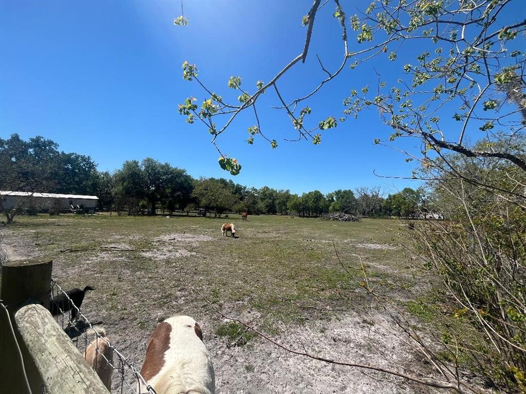 Property for sale at 28538 RICE ROAD, SAN ANTONIO, FL, 33576