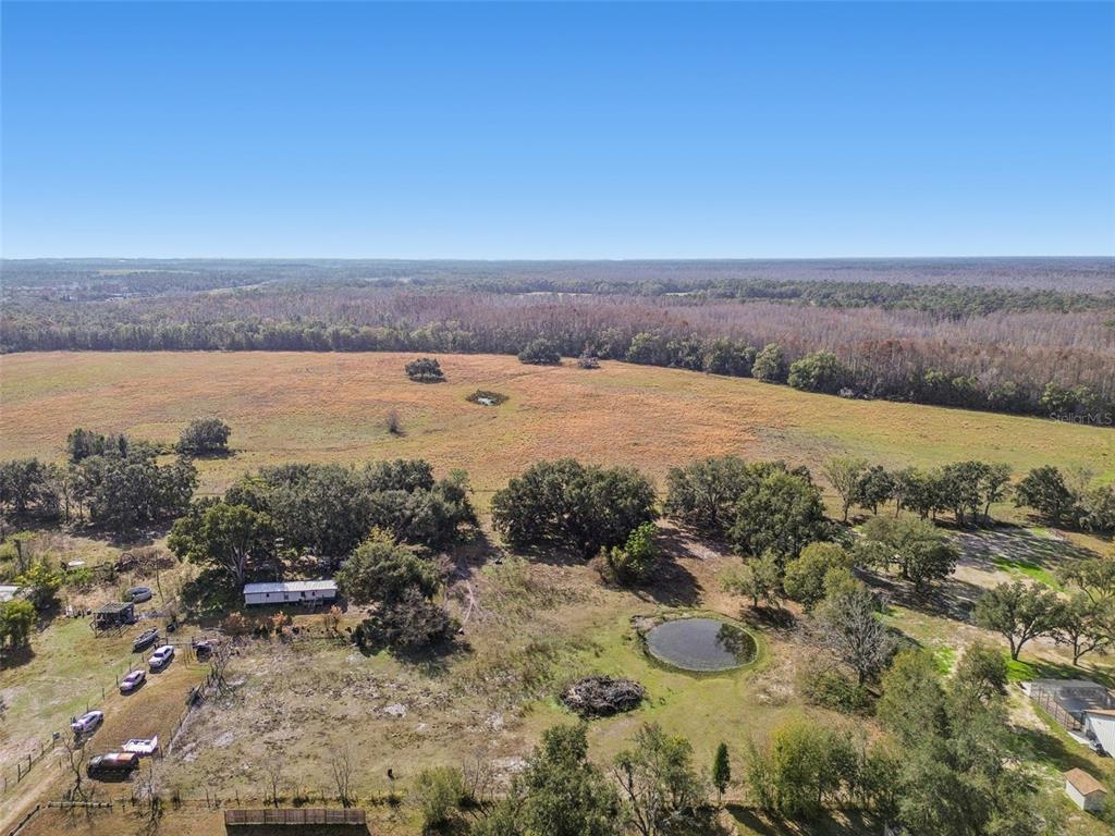 Property for sale at 28538 RICE ROAD, SAN ANTONIO, FL, 33576