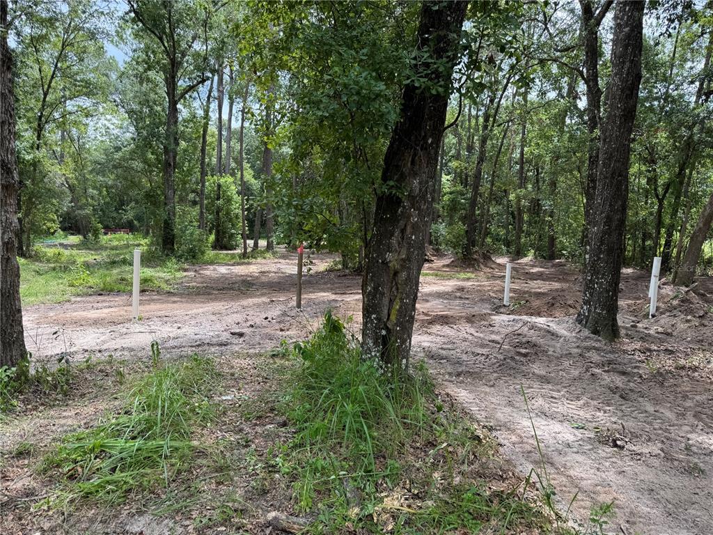 Property for sale at TBD, WALDO, FL, 32694