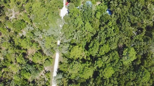 Property for sale at 0 NE 138TH TERRACE, WILLISTON, FL, 32696