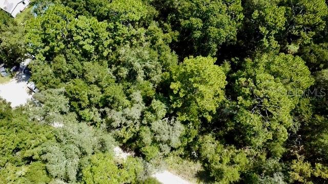 Property for sale at 0 NE 138TH TERRACE, WILLISTON, FL, 32696