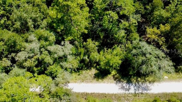 Property for sale at 0 NE 138TH TERRACE, WILLISTON, FL, 32696