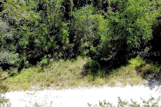 Property for sale at 0 NE 138TH TERRACE, WILLISTON, FL, 32696