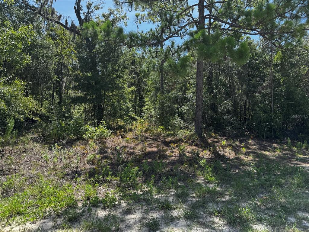 Property for sale at CRIDER ROAD UNIT 3, WEEKI WACHEE, FL, 34614