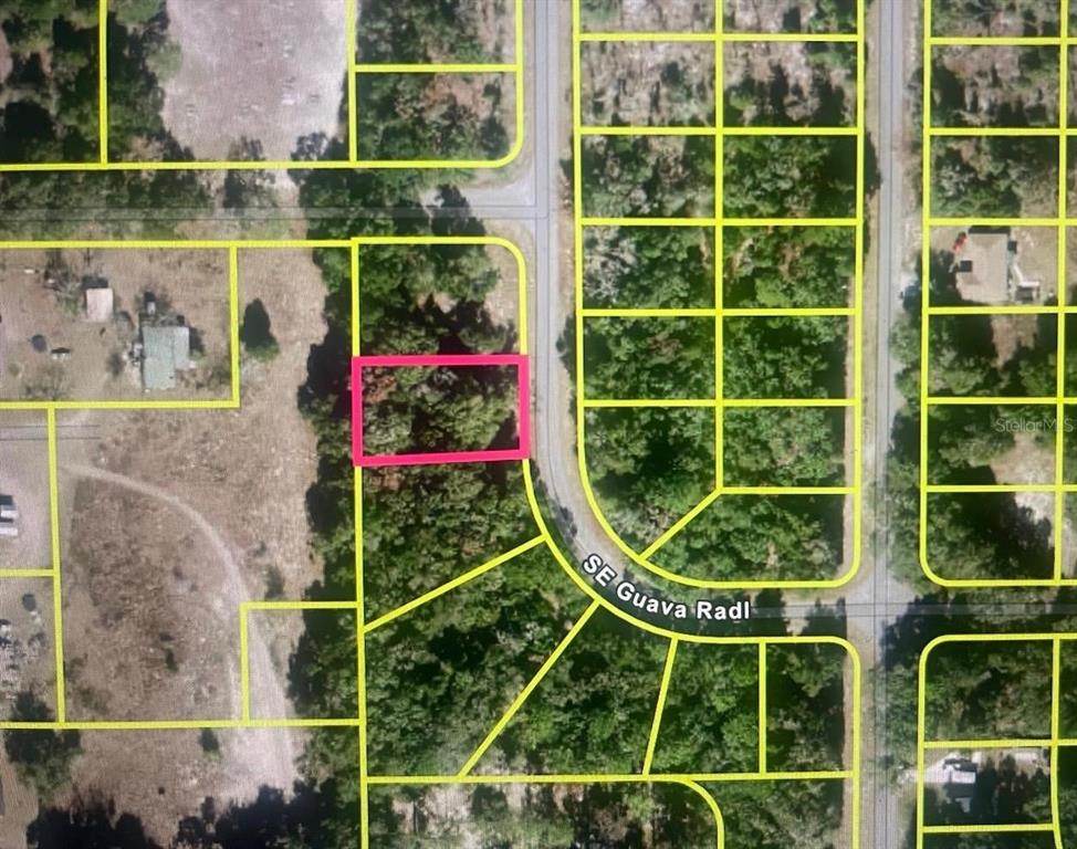 Property for sale at GUAVA TERRACE RADIAL, OCKLAWAHA, FL, 32179