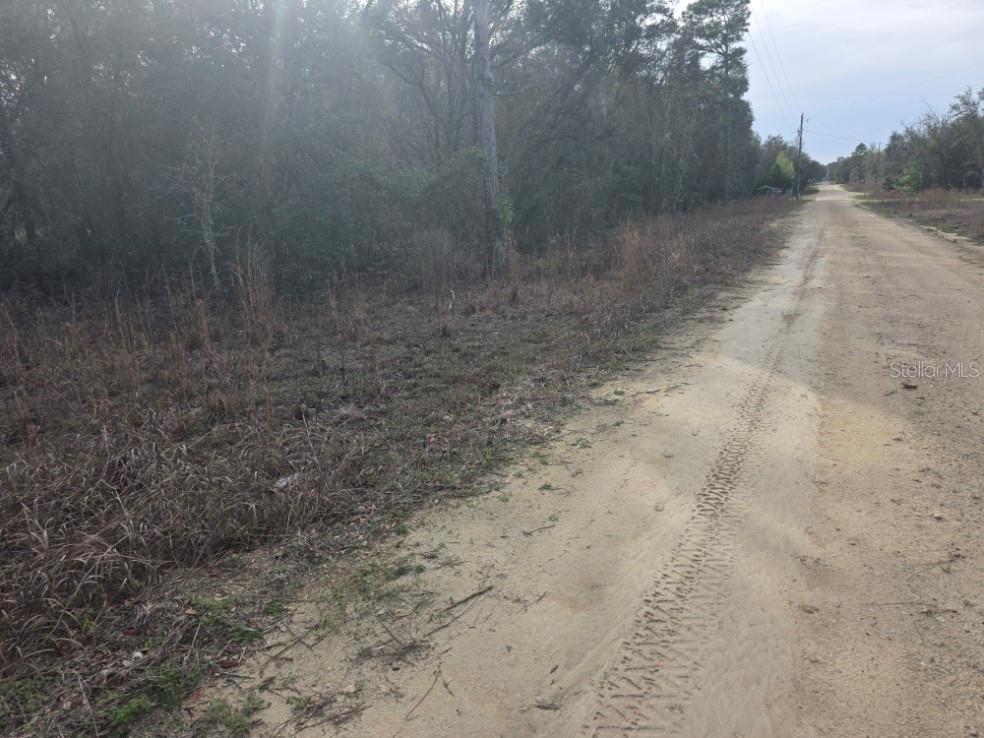 Property for sale at NE 60 PLACE, BRONSON, FL, 32621