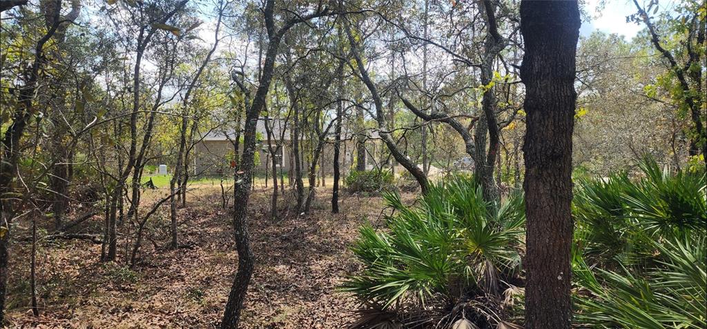 Property for sale at 18106 PARAKEET ROAD, BROOKSVILLE, FL, 34614